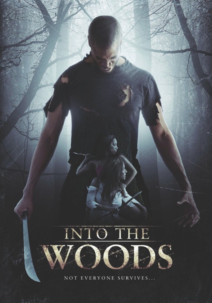 Into The Woods streaming where to watch online?
